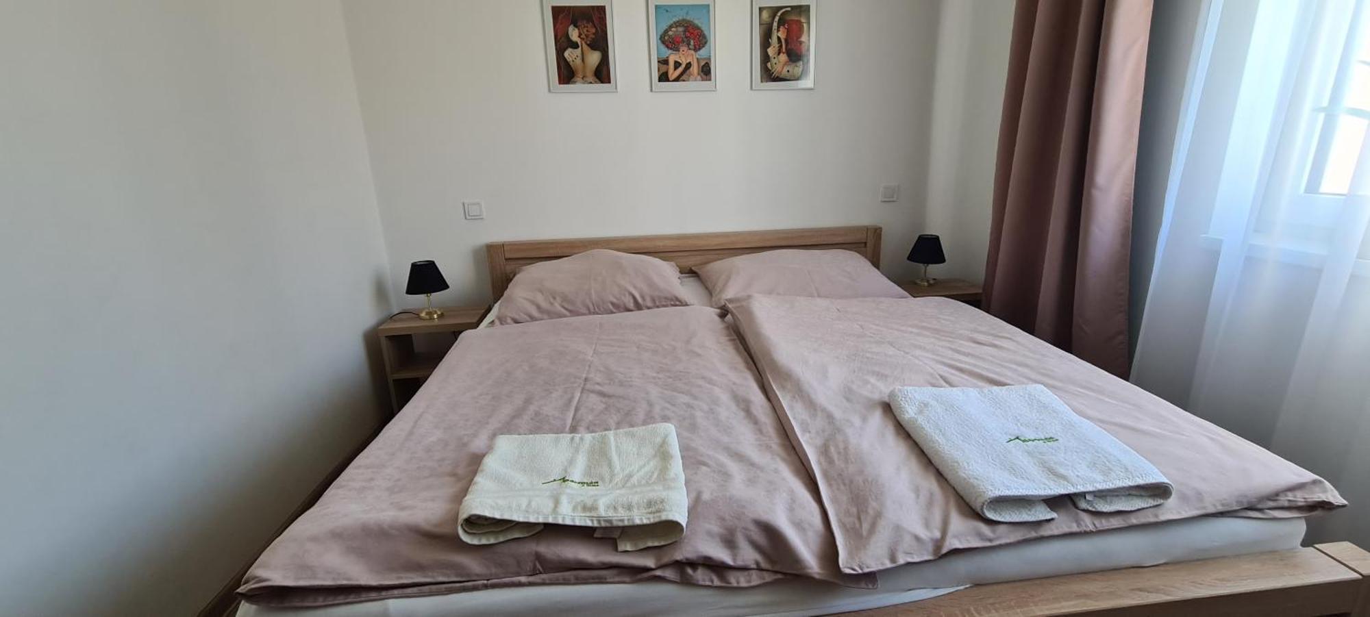 Apartman U Toma Frýdlant nad Ostravicí Dış mekan fotoğraf
