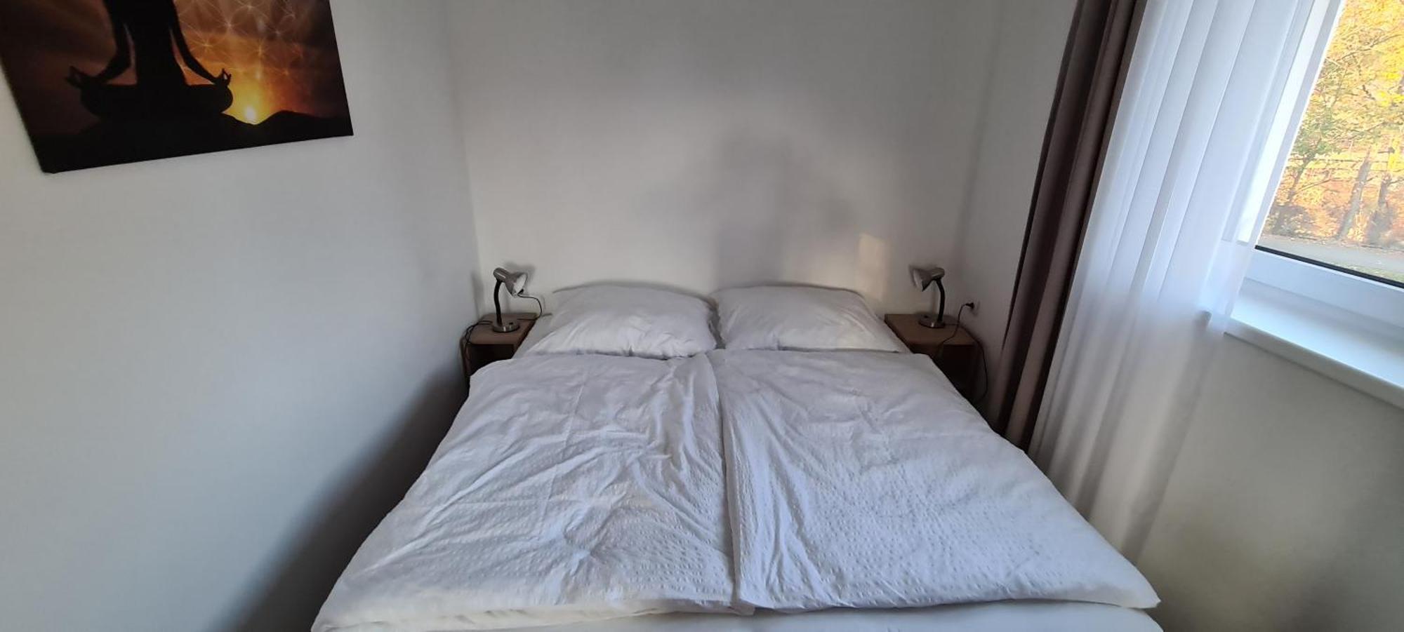 Apartman U Toma Frýdlant nad Ostravicí Dış mekan fotoğraf